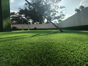 Carpet(Outdoor Carpet)