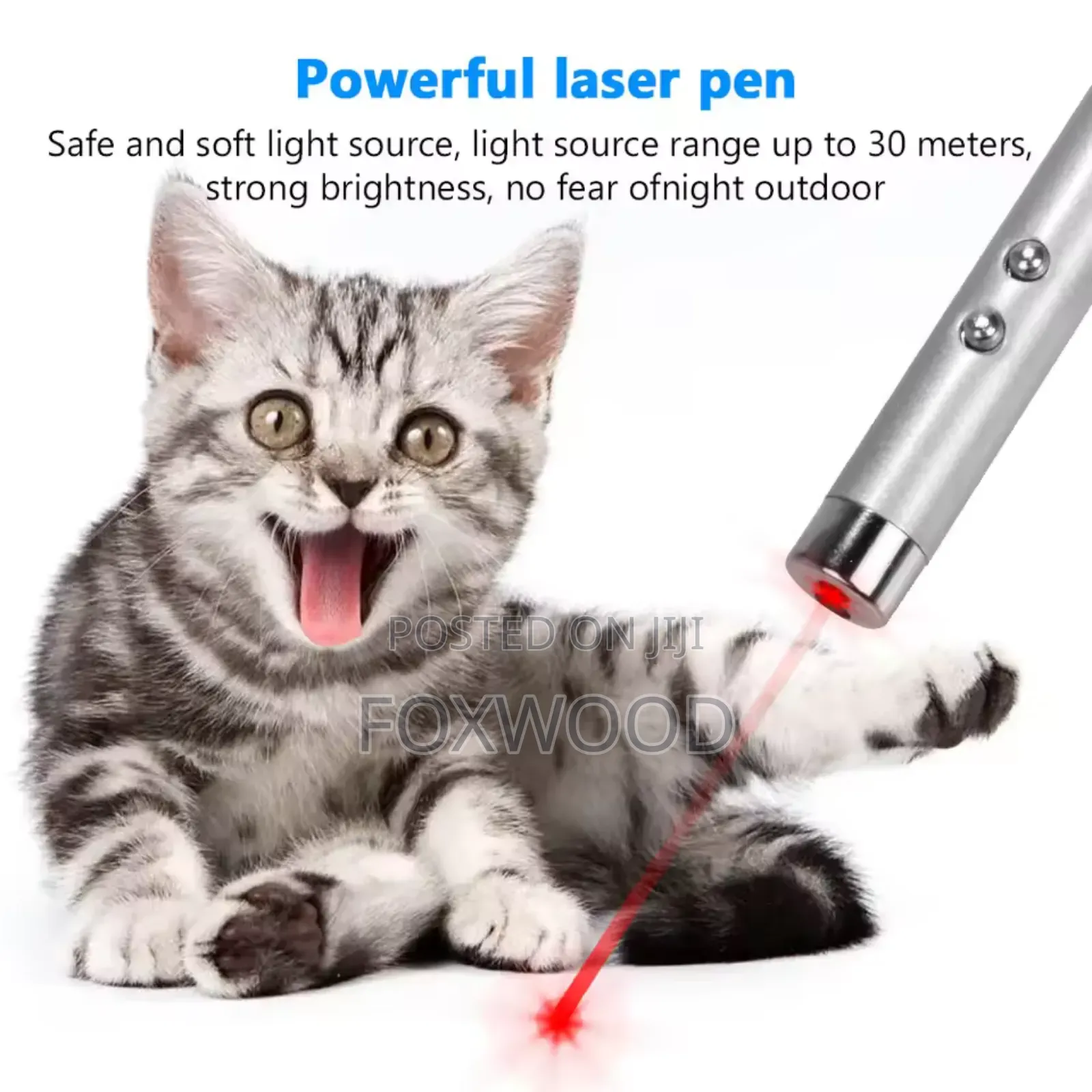 Laser With Batteries for Cats.