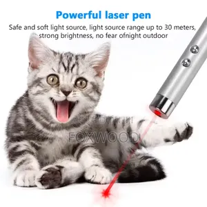 Laser With Batteries for Cats.