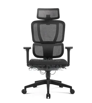Flexon Flex on Office Chair