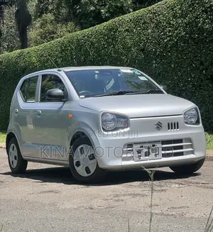 Suzuki Alto 2019 Silver