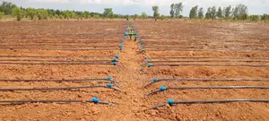 Drip Irrigation System