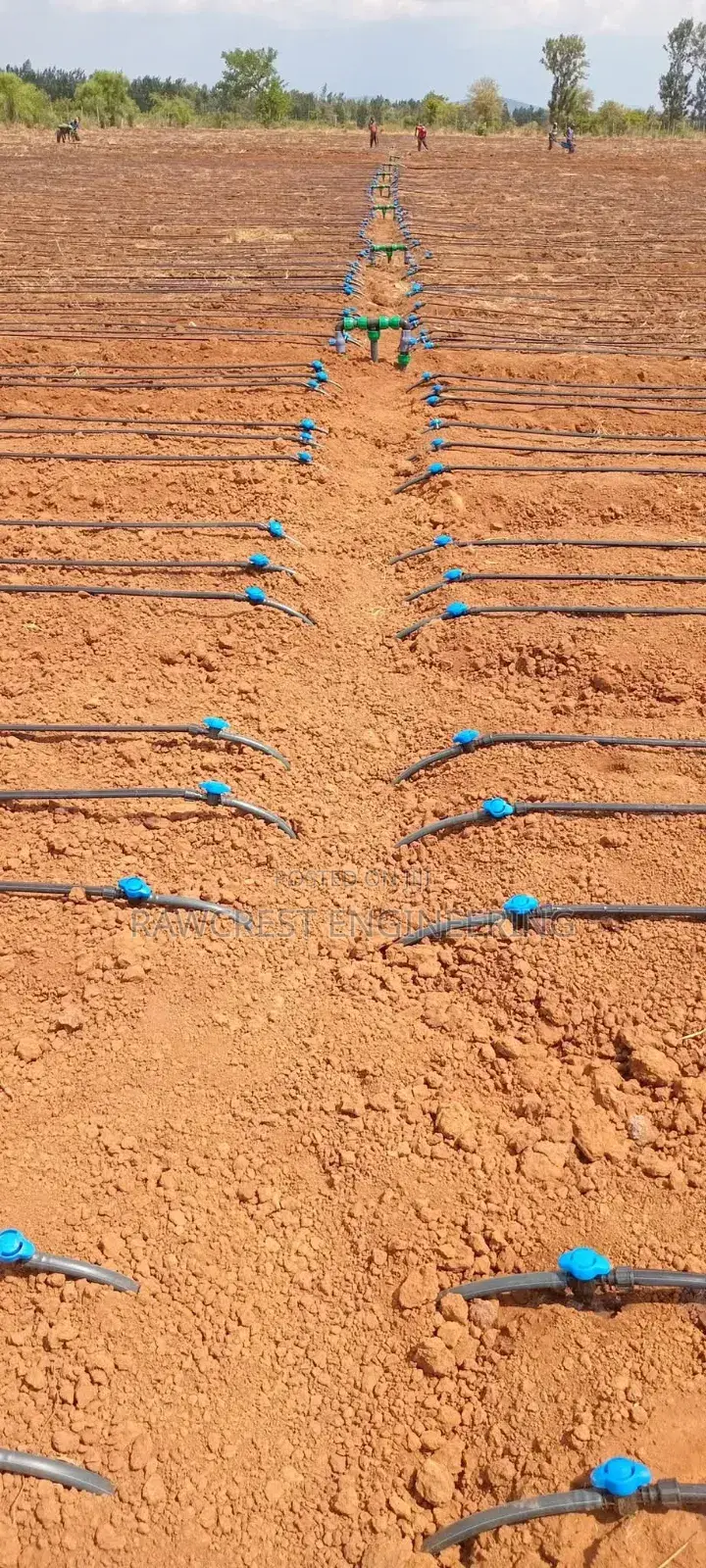 Drip Irrigation System