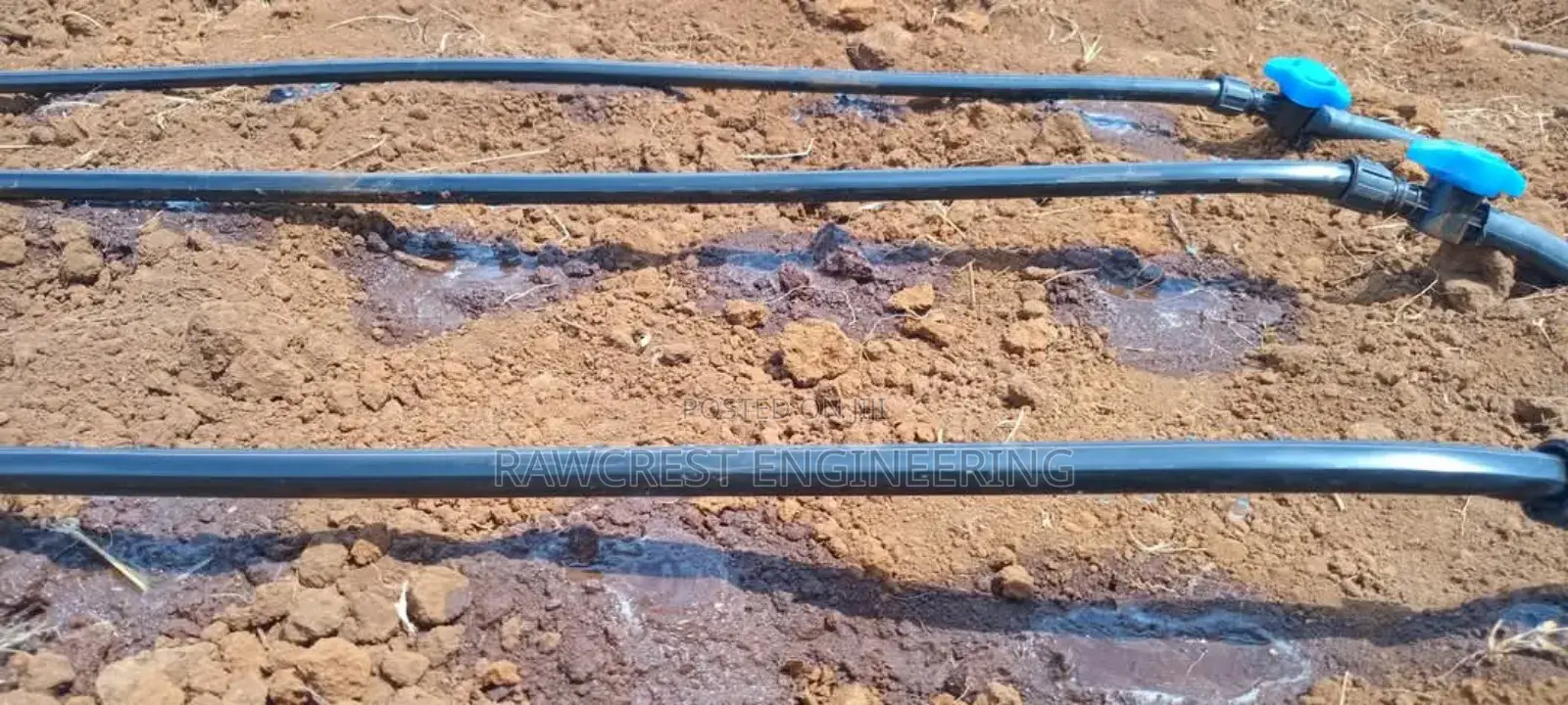 Drip Irrigation System