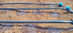 Drip Irrigation System