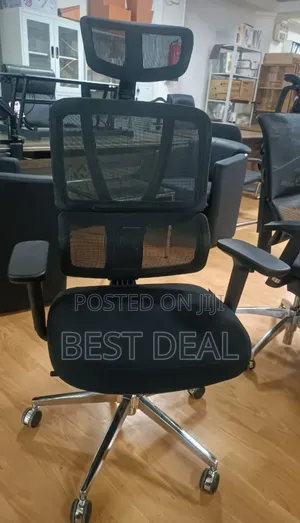 Executive Mesh Orthopedic Chair