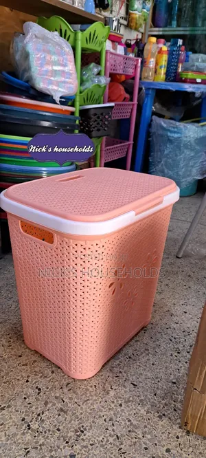 Easy to Manage Plastic Laundry Basket, Small Laundry Basket