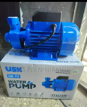 Usk 4sdm310 0.75hp 62 Meters Head Submersible Water Pump