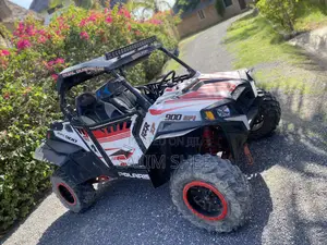 Polaris 2014 White