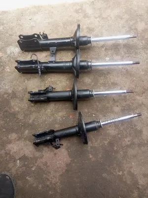 Premio Nyoka Shocks.