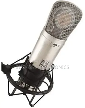 Behringer B-1 Studio Condenser Microphone