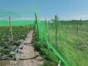 Bird Net Meshing 5mtrs by 33mtrs