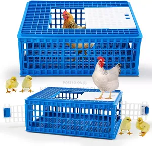 Chicken Crate