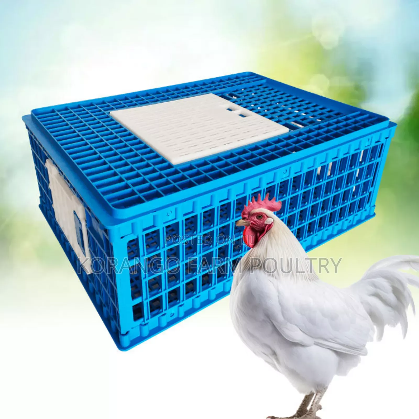 Chicken Crate