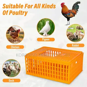 Chicken Cages