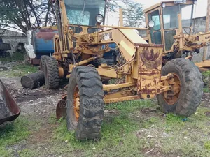 Cat Grader
