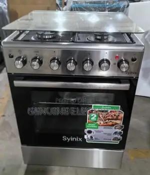 60by60 Standing Cooker