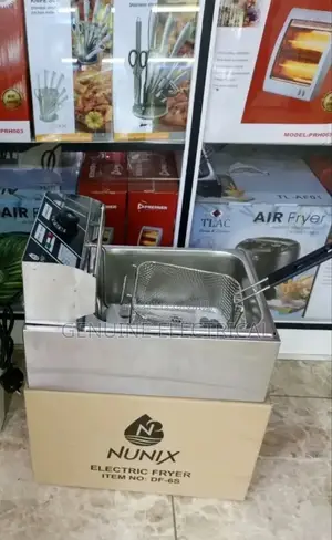 Single Electric Deep Fryer 6l Fryer