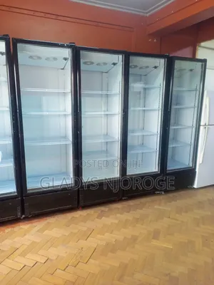 Affordable Show Case Display Fridge/All Size
