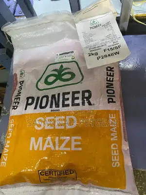 Pioneer Maize Seeds P2848w Early Maturing - 2kg