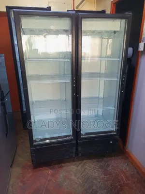 Elegant Display Fridge/400l Smart and Neat