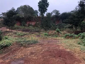 Prime Plot 1/4 Acre for Sale Muhuri Road Kinoo