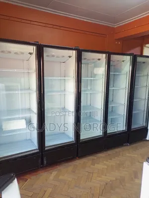 Show Case Fridge (600l)