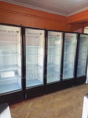 Show Case Fridge (600l)