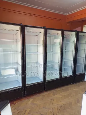 Show Case Fridge (600l)