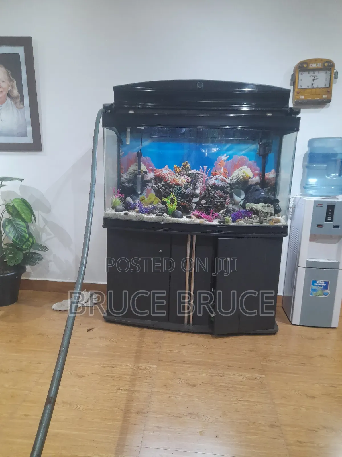 Aquarium Services