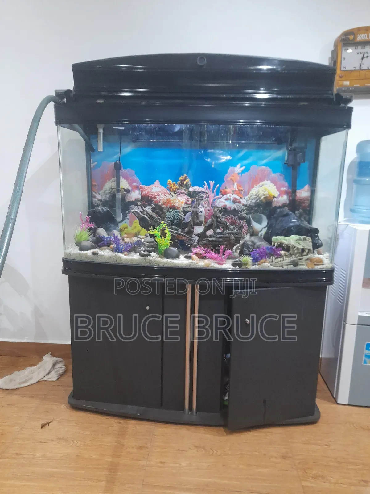 Aquarium Services