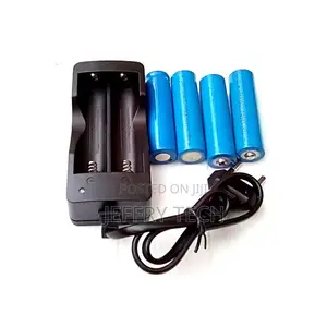 4pcs Rechargeable 3.7v Li-Ion Battery With Charger