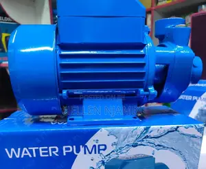 0.5hp Electric Booster Pump
