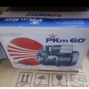 Pedrollo Water Pump