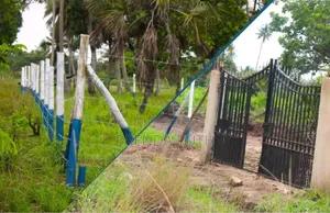 50*100 Plots for Sale in Diani