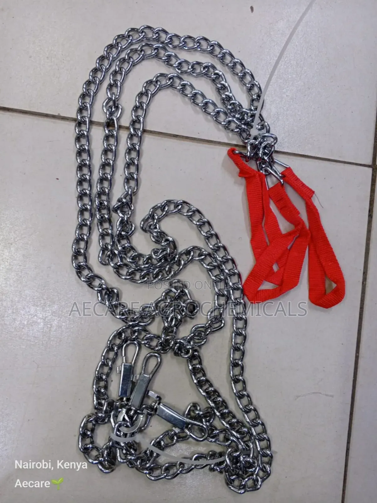 Dog Chain: Small, Medium, Large
