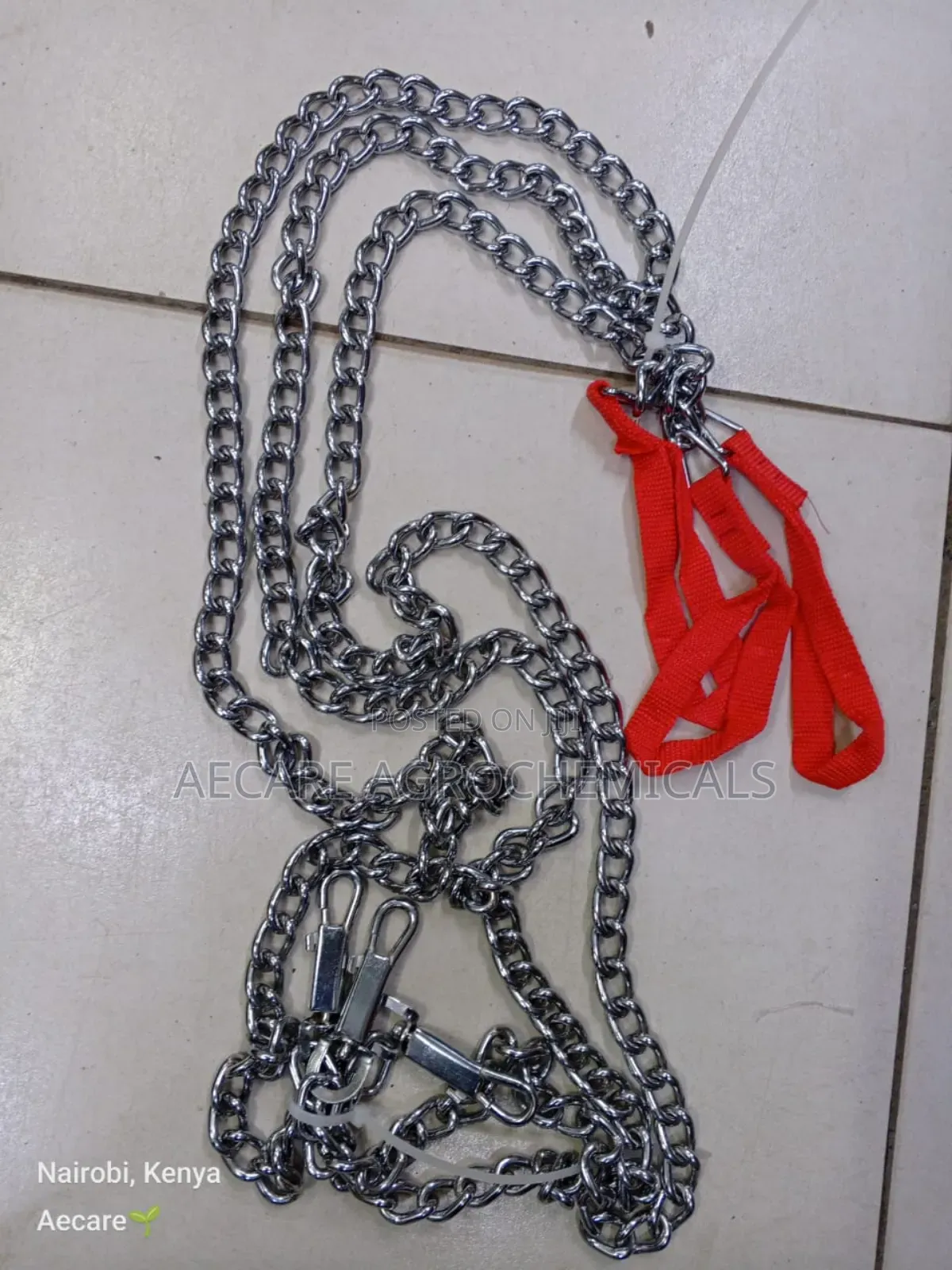 Dog Chain: Small, Medium, Large