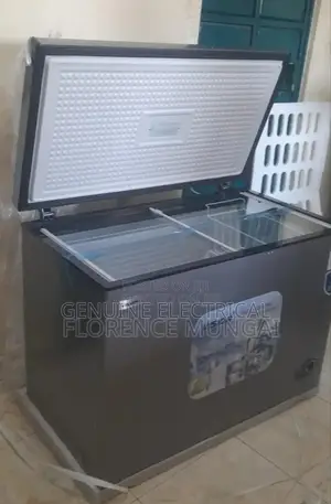 Cool Vision 300litres Deep Freezer