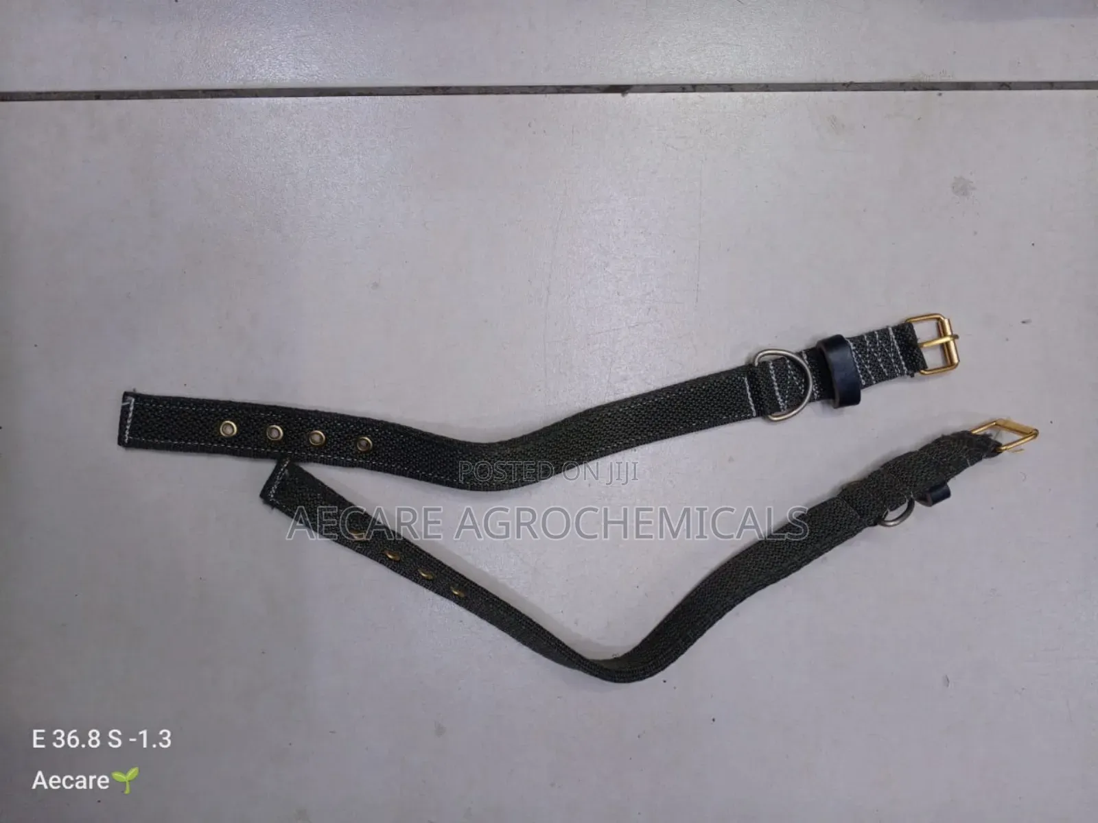 Dog Collars Canvas : Small, Medium, Long