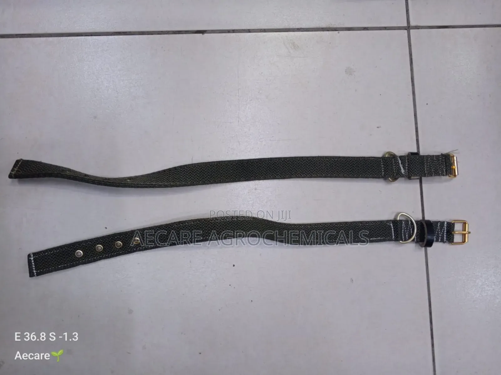 Dog Collars Canvas : Small, Medium, Long