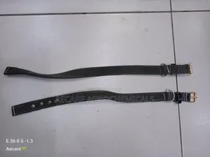 Dog Collars Canvas : Small, Medium, Long