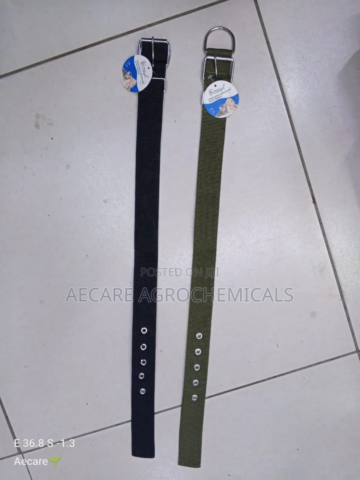 Dog Collars Canvas : Small, Medium, Long
