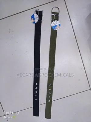 Dog Collars Canvas : Small, Medium, Long