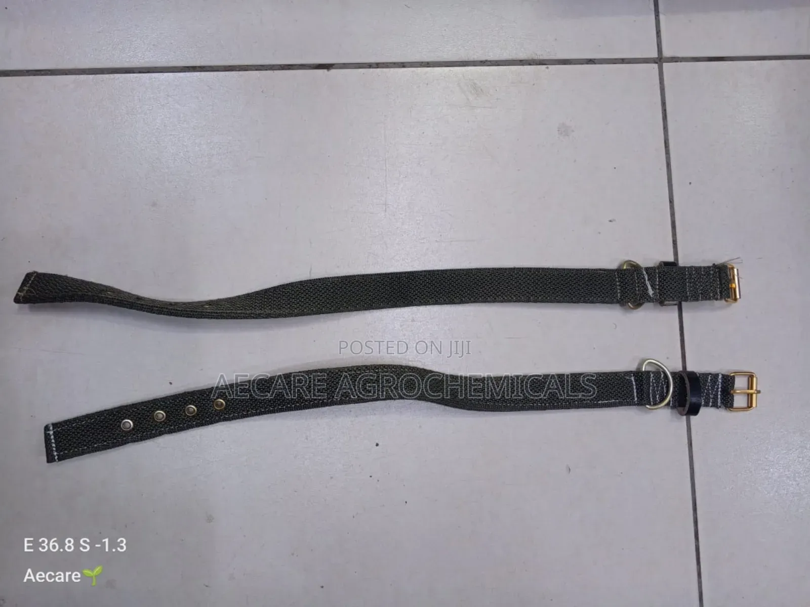 Dog Collars Canvas : Small, Medium, Long