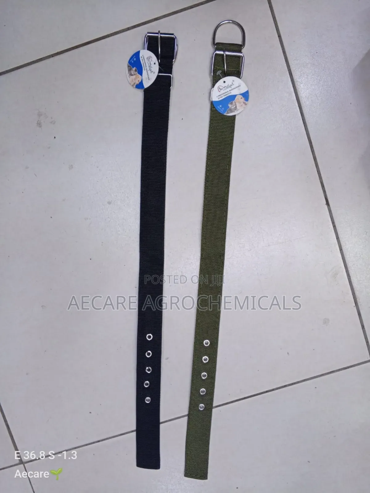 Dog Collars Canvas : Small, Medium, Long
