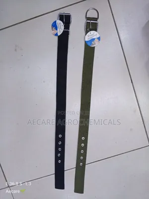 Dog Collars Canvas : Small, Medium, Long