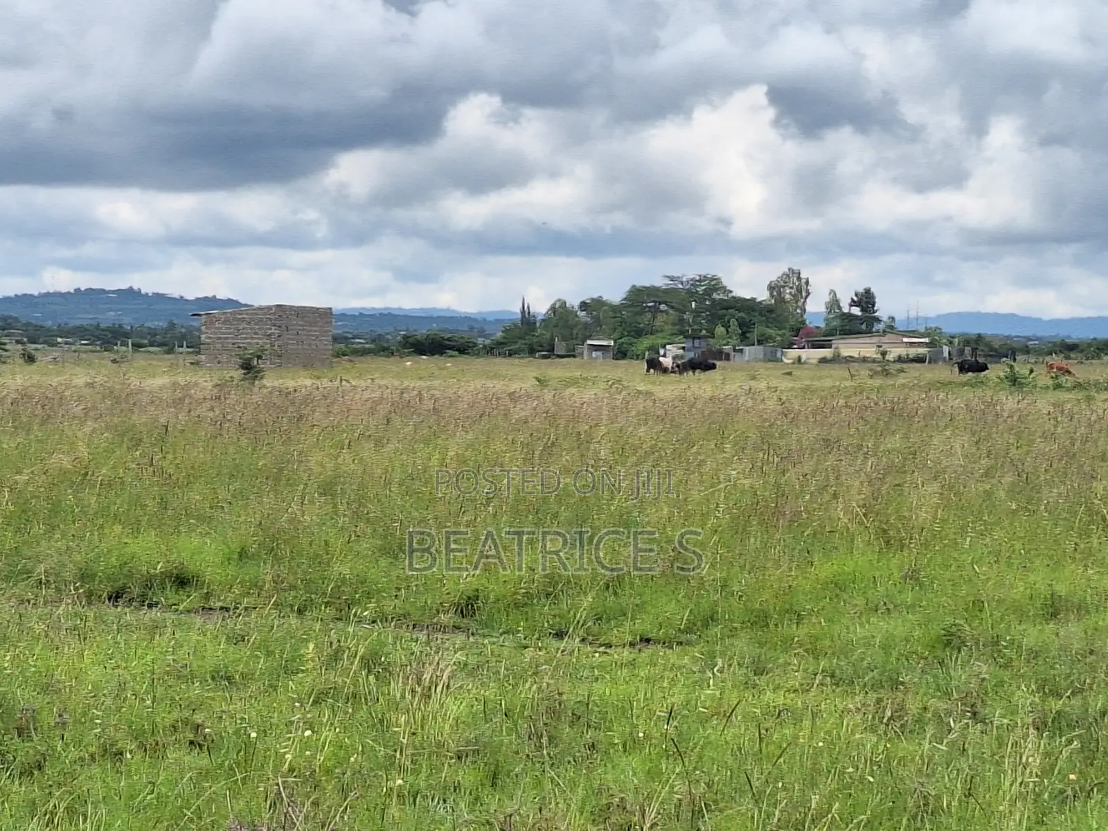 Residential Plot for Sale – Malaa (1/4 Acre)