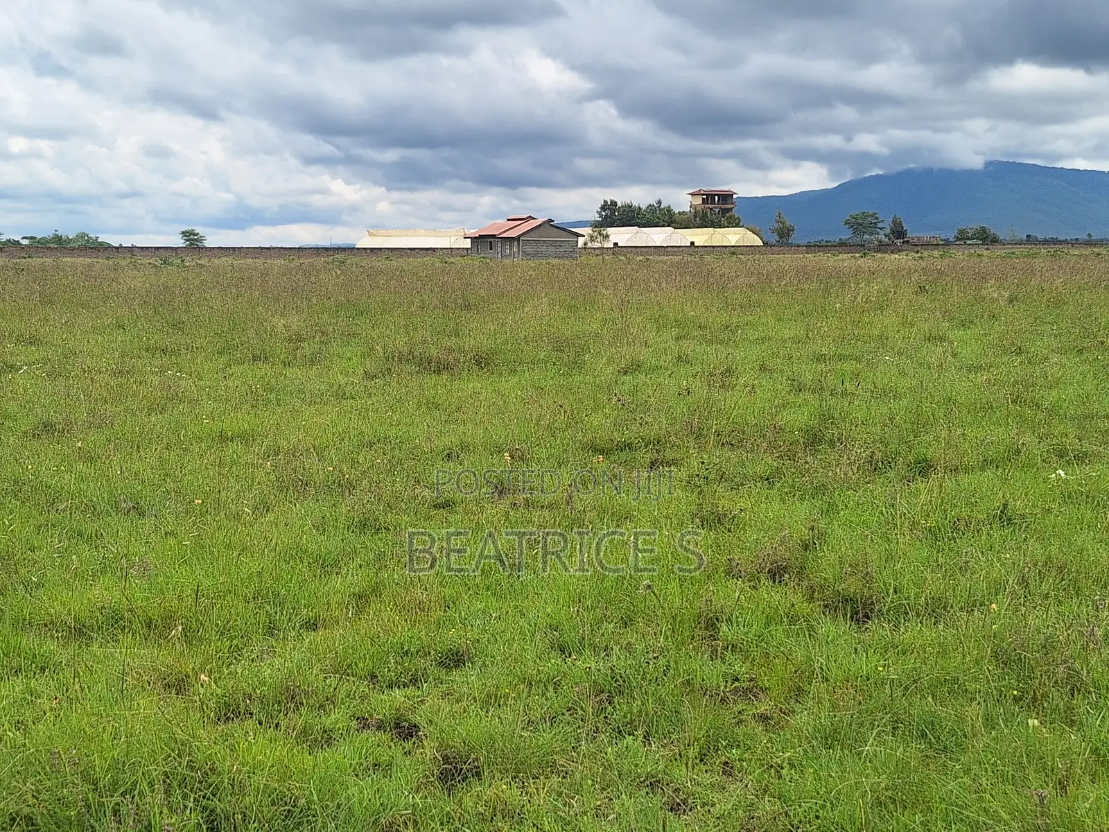 Residential Plot for Sale – Malaa (1/4 Acre)