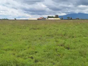 Residential Plot for Sale – Malaa (1/4 Acre)