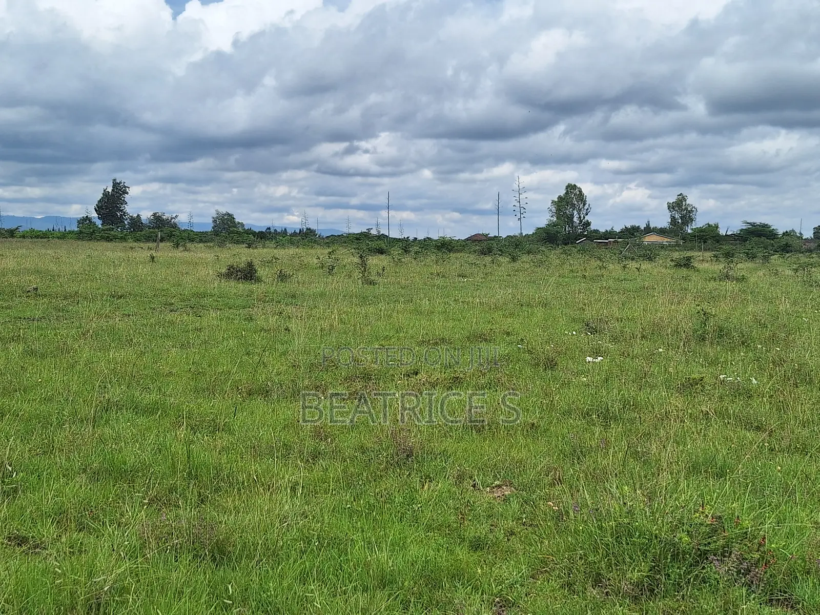 Residential Plot for Sale – Malaa (1/4 Acre)